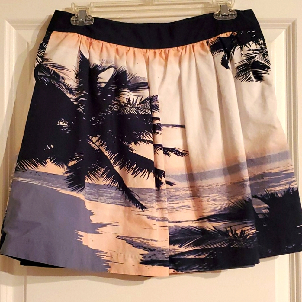 Banana Republic Skirt